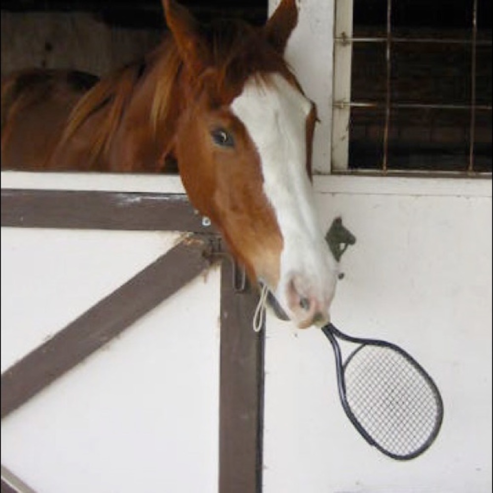 Meet the Posher